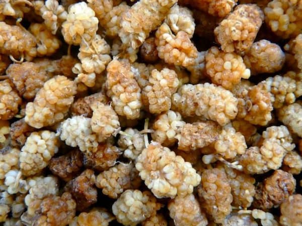 تصویر 1 از خرید و قیمت توت خشک خانگی + فروش عمده